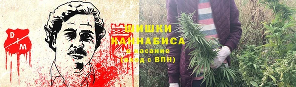 эйфоретик Нефтекумск