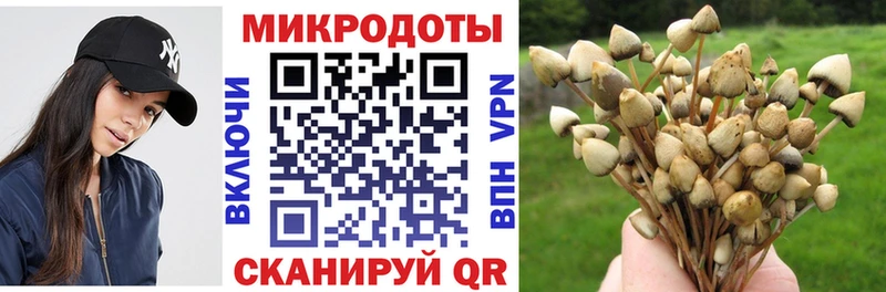 Псилоцибиновые грибы Psilocybine cubensis Нижняя Салда