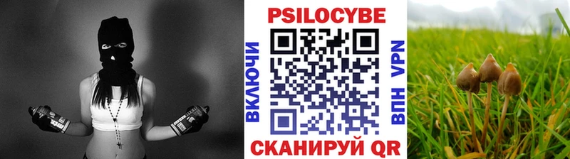 купить наркотики сайты Нижняя Салда Галлюциногенные грибы Magic Shrooms